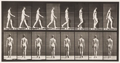 Planche 8. Marcher