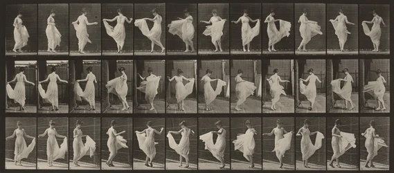 Planche numéro 192. Danse (fantaisie)