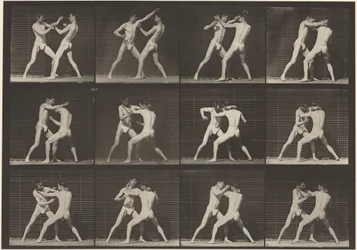 Planche numéro 340. Boxe, main ouverte (chaussures), 1887 (photo)