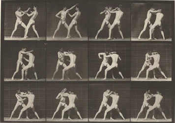 Numéro de plaque 340. Boxe, main ouverte (chaussures)