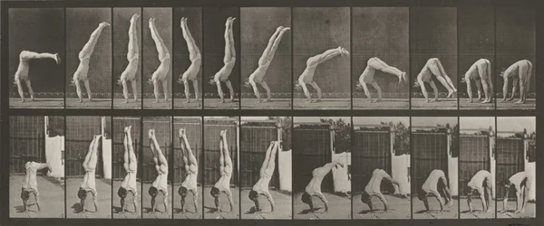 Planche numéro 371. Acrobat, vertical "press up", 1887 (photo)