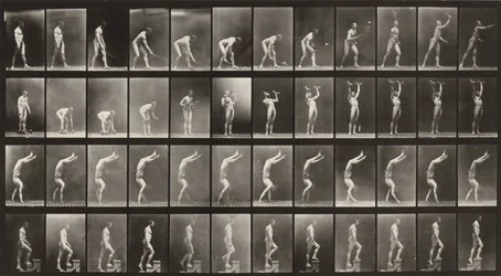 Planche numéro 488. A : Tennis sur gazon. B : Haltères. C : Marche sur les mains. D : Monter des escaliers