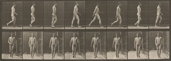 Planche numéro 5. Marche, 1887 (photo)
