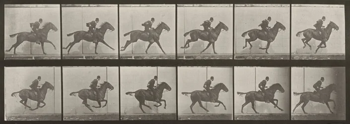 Planche numéro 624. « Daisy » au galop, sellée