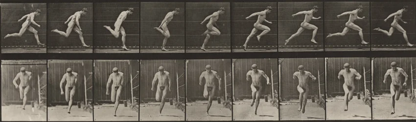 Planche numéro 68. Course
