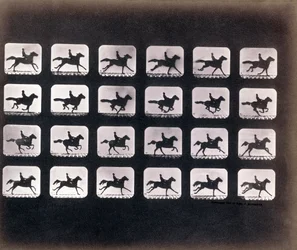 Course (Galop) par Eadweard J. Muybridge