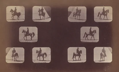 Études de raccourcis. Chevaux. Marche. Mahomet. Nos. 119-120