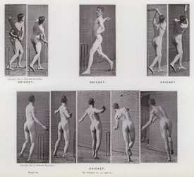 La Figure Humaine en Mouvement : Cricket