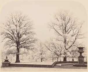 Givre, une scène de parc, 1862 (photo)