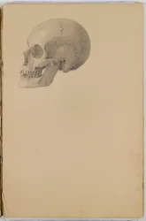 Carnet de croquis anatomiques, 1849