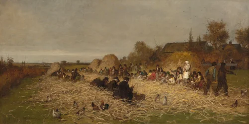 Épluchage de maïs, île de Nantucket