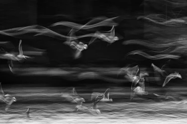 La frontière entre réalité et imaginaire