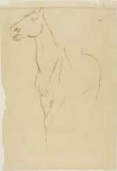 Cheval tourné trois-quarts