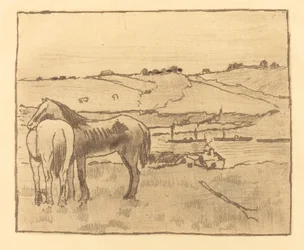 Chevaux dans la prairie