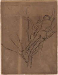 Homme élaguant un arbre