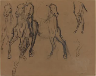 Étude de chevaux