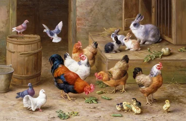 Amis de la ferme