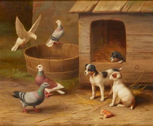 Chiots et pigeons