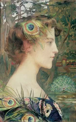 Profil de paon