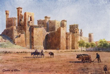 Espagne du Nord : Olite, le château