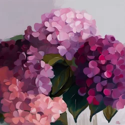 Des hortensias aux couleurs éclatantes