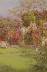 Un jardin de roses