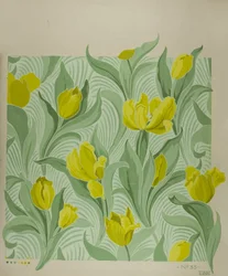Tulipe