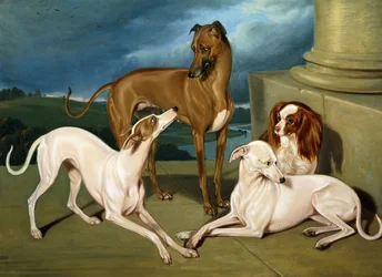 Lévriers et un épagneul royal, 1837