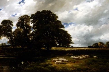 Paysage avec des moutons