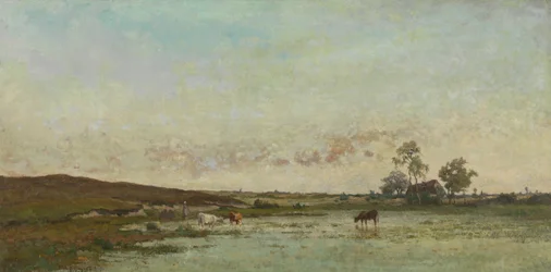Marais dans la "Kempen"