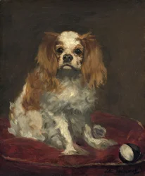 Un épagneul King Charles, c.1866