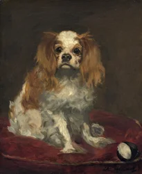 Un épagneul King Charles, vers 1866