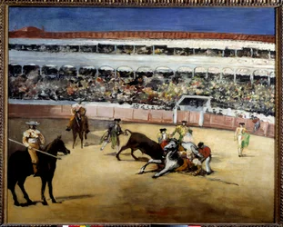 Combat de taureaux