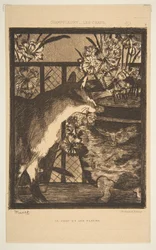 Chat et fleurs. Illustration pour Les Chats de Champfleury, 1869