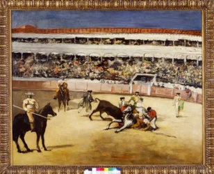 Combat de taureaux
