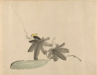 Concombre avec feuilles