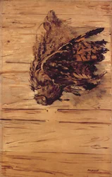 Grand-duc mort