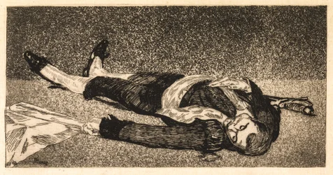 Toréador mort