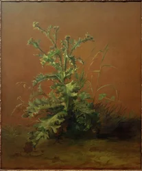 Le chardon