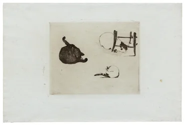Les chats