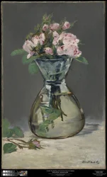 Roses mousseuses dans un vase