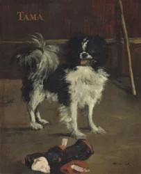 Tama, le chien japonais, c.1875