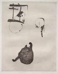 Les chats