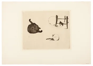 Les chats