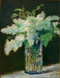Vase de fleurs, lilas blancs