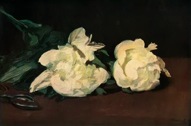 Pivoines blanches, 1864, 1937