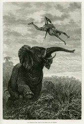 Le chasseur d