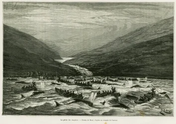 Pêche au dauphin. Gravure pour illustrer l