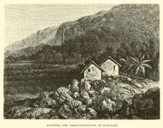 Hacienda et plantation de cacao de Tian-tian