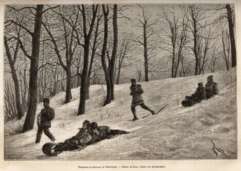 Luges et patineurs au plateau du Mont-Royal, près de Montréal, gravure d